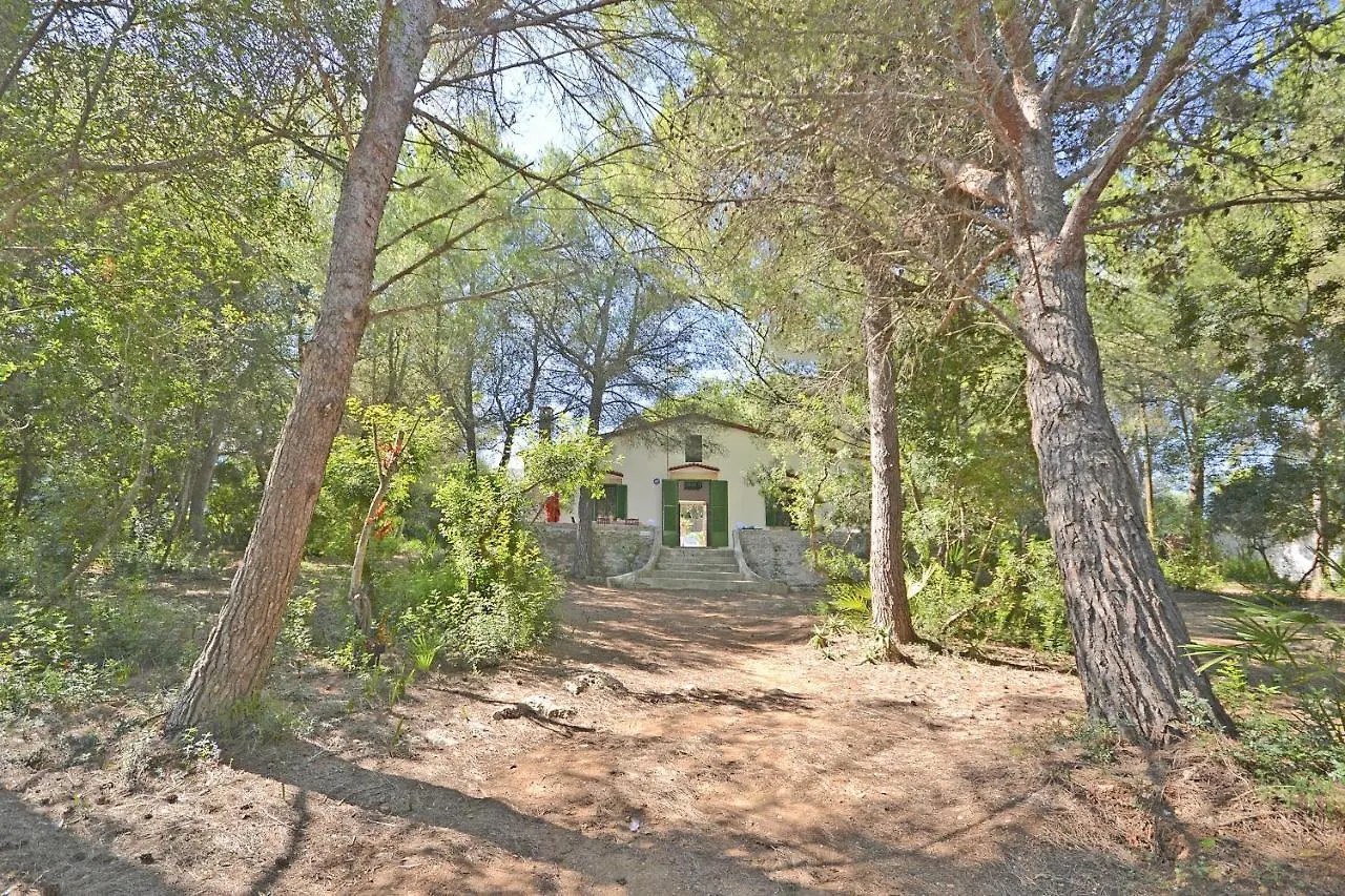 Villa Teresa Alcudia